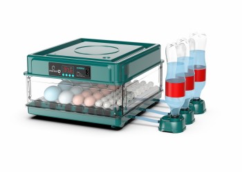 Como escolher a melhor chocadeira para sua criação